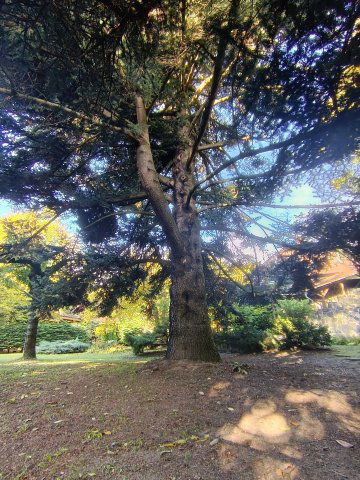 Eladó családi ház, Pilisszentkereszten 89.9 M Ft, 3 szobás