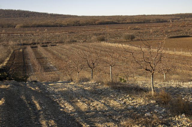 Eladó mezogazdasagi ingatlan, Zánkán 95 M Ft