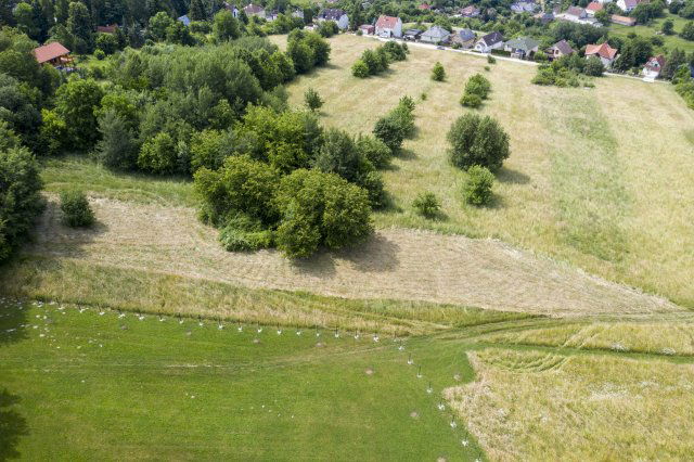 Eladó telek, Bükkszentkereszten 13.9 M Ft / költözzbe.hu