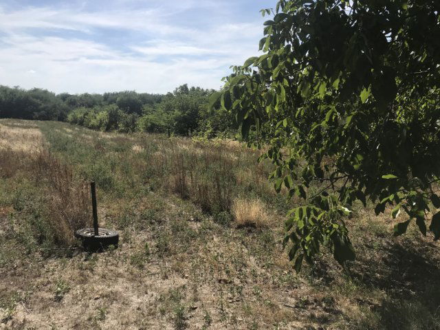 Eladó telek, Gyömrőn 7.5 M Ft / költözzbe.hu