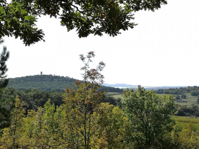 Eladó telek, Alsóörsön 47 M Ft / költözzbe.hu