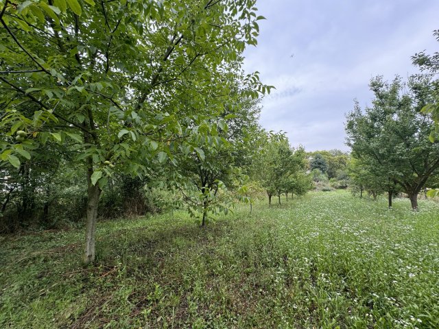 Eladó telek, Karádon 3 M Ft / költözzbe.hu