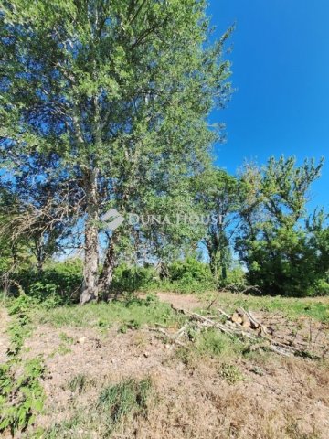 Eladó telek, Alcsútdobozon 16.9 M Ft / költözzbe.hu