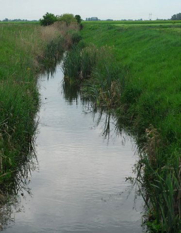 Eladó mezogazdasagi ingatlan, Kelebián 11.58 M Ft