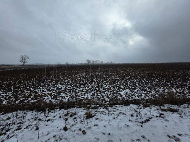 Eladó mezogazdasagi ingatlan, Peresztegen 2.5 M Ft