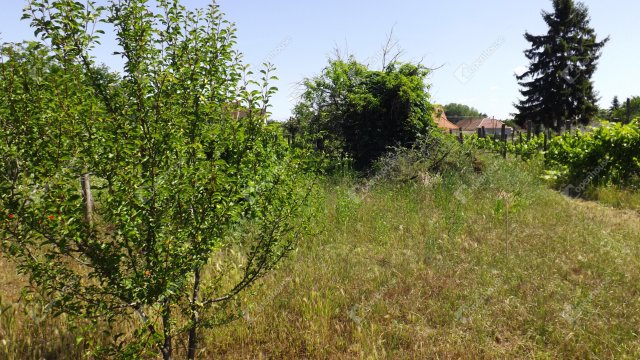 Eladó telek, Homokbödögén 4.5 M Ft / költözzbe.hu