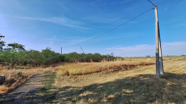 Eladó mezogazdasagi ingatlan, Jászberényben 20.499 M Ft