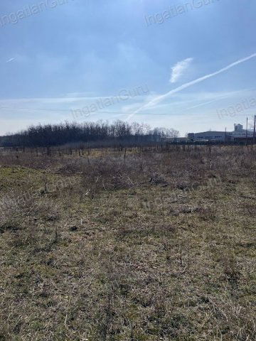 Eladó mezogazdasagi ingatlan, Lajosmizsén 99 M Ft