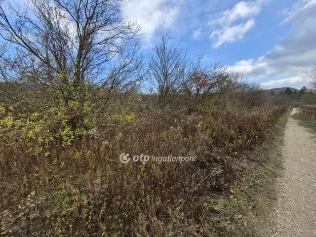 Eladó telek, Nagykovácsiban 34.5 M Ft / költözzbe.hu