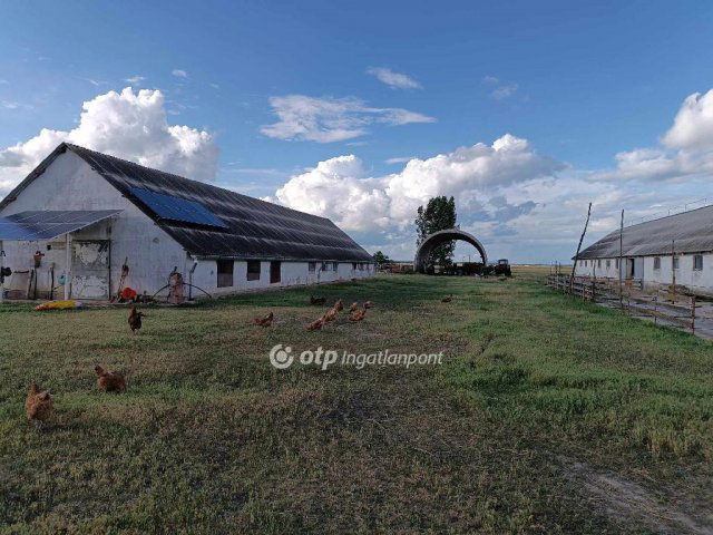 Eladó mezogazdasagi ingatlan, Polgáron 350 M Ft