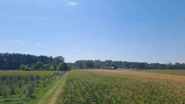 Eladó mezogazdasagi ingatlan, Debrecenben 149.9 M Ft