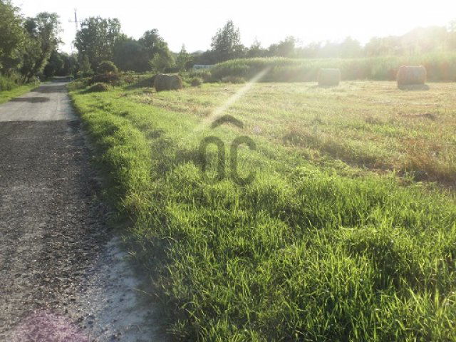 Eladó telek, Telkin 160 M Ft / költözzbe.hu