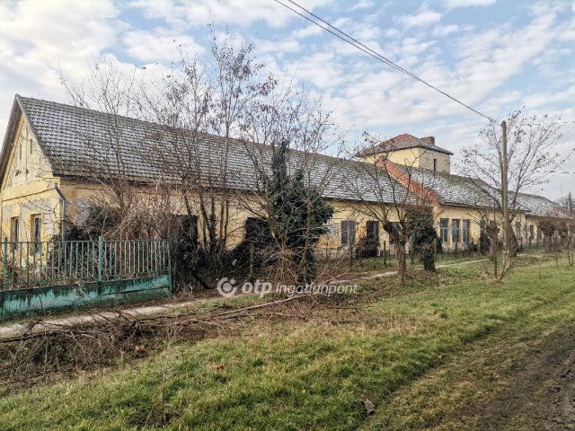 Eladó ipari ingatlan, Medgyesegyházán 45 M Ft