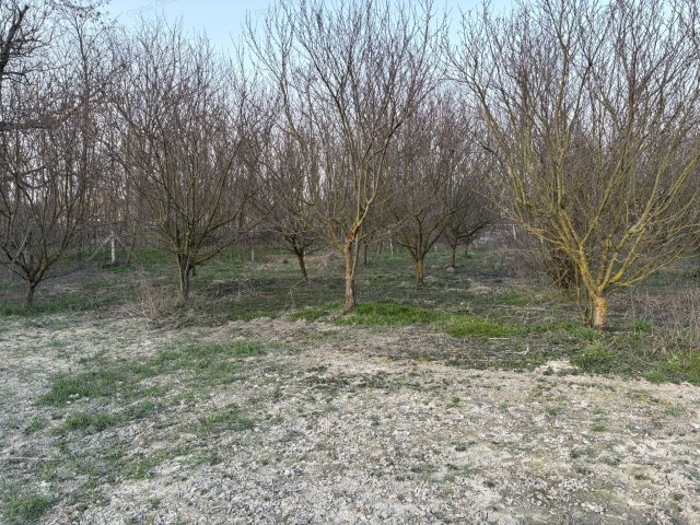 Eladó telek, Ásványrárón 21.94 M Ft / költözzbe.hu