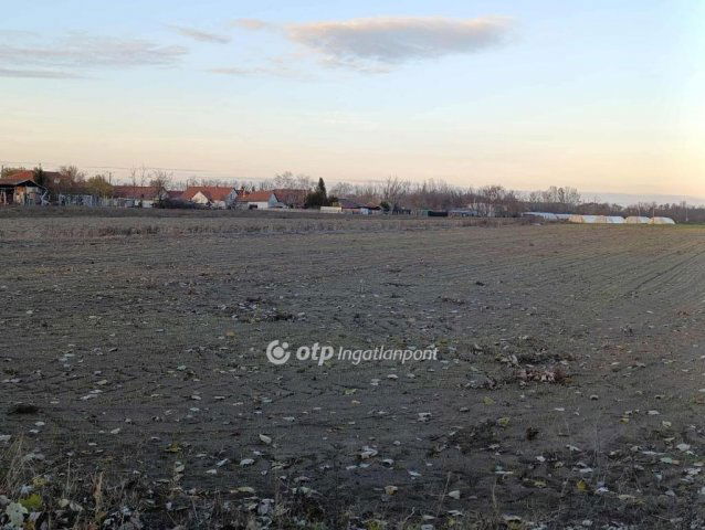 Eladó mezogazdasagi ingatlan, Üllésen 6 M Ft