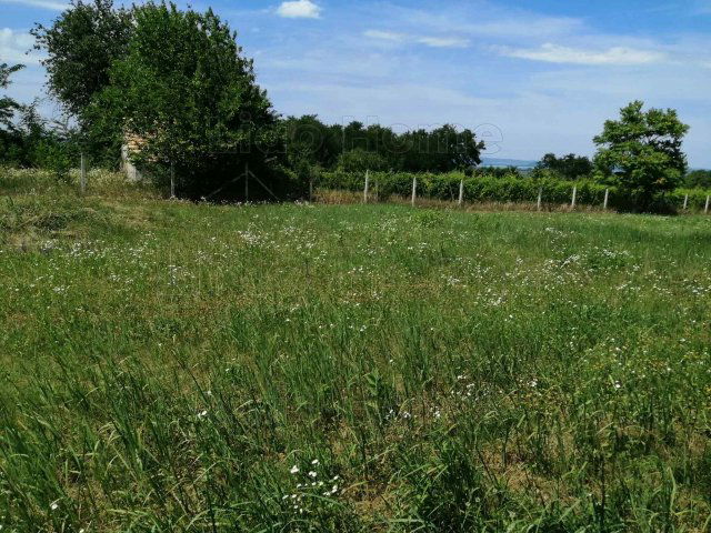 Eladó mezogazdasagi ingatlan, Balatonőszödön 25 M Ft, 1 szobás