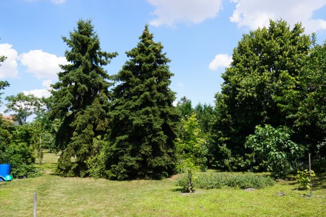 Eladó családi ház, Szigetbecsén 92.5 M Ft, 3 szobás