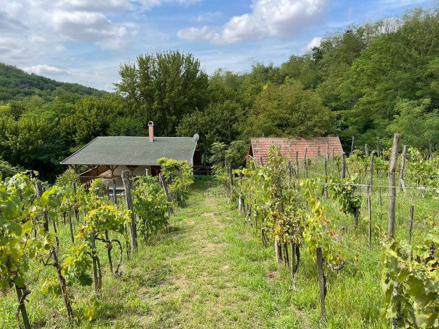 Eladó nyaraló, Pincehelyen 39.9 M Ft, 6 szobás