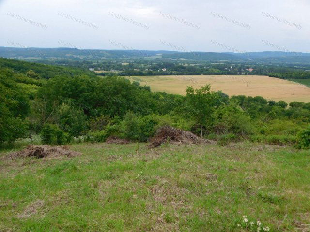 Eladó mezogazdasagi ingatlan, Zalaszentlászlón 3.8 M Ft