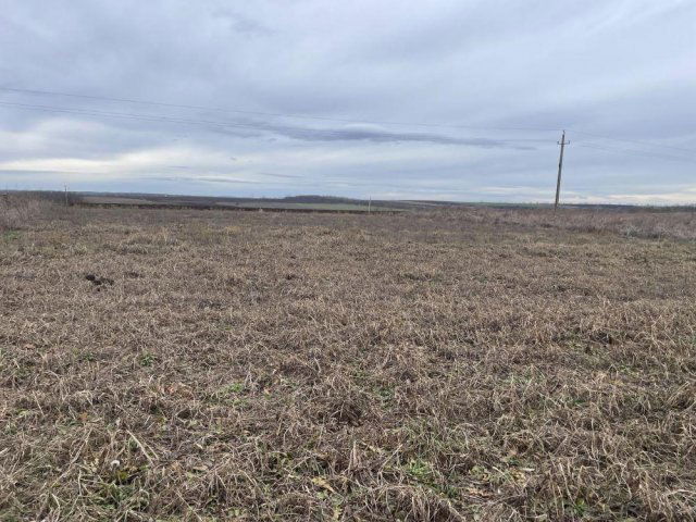 Eladó telek, Kömlődön 15 M Ft / költözzbe.hu