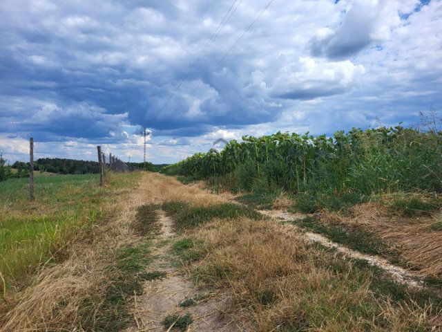 Eladó telek, Gombán 45 M Ft / költözzbe.hu