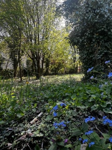 Eladó telek, Budapesten, II. kerületben, Tárkony utcában