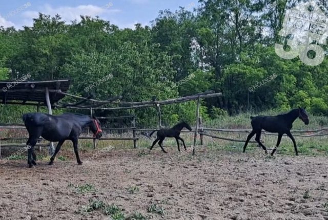 Eladó családi ház, Fülöpszálláson 129.9 M Ft, 6 szobás