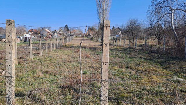 Eladó telek, Balatonbogláron 20 M Ft / költözzbe.hu