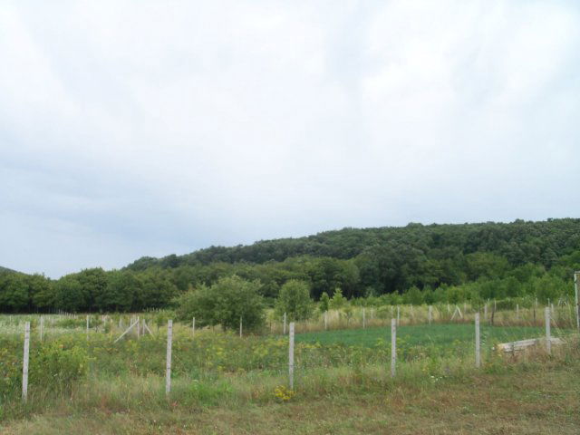 Eladó telek, Nagykovácsiban 284.77 M Ft / költözzbe.hu