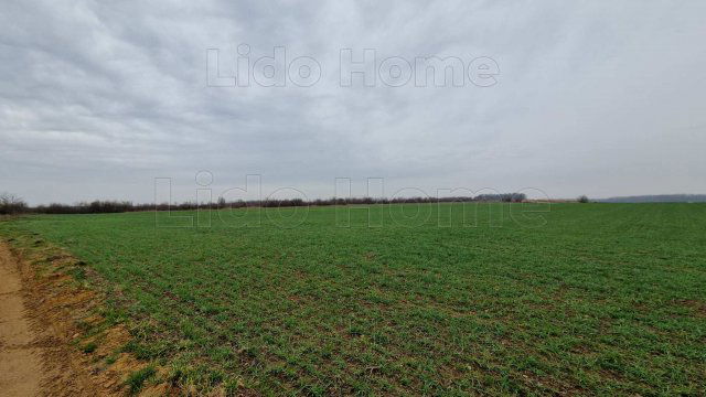 Eladó mezogazdasagi ingatlan, Fertőszéplakon 41.5 M Ft