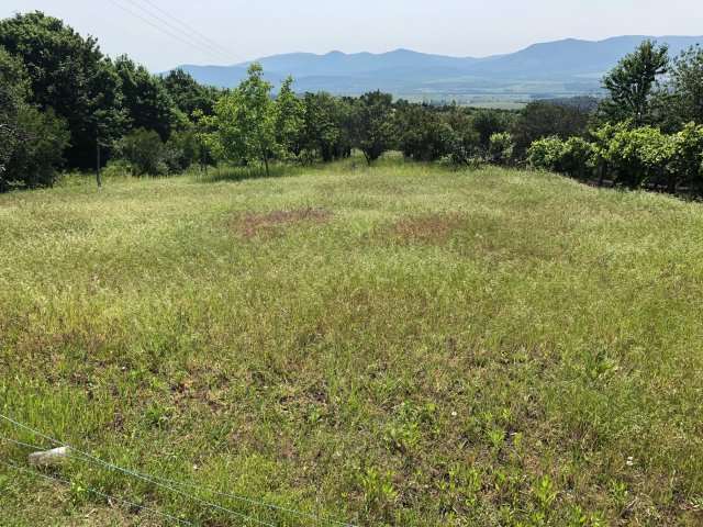 Eladó mezogazdasagi ingatlan, Mátraszőlősön 13.5 M Ft, 1 szobás