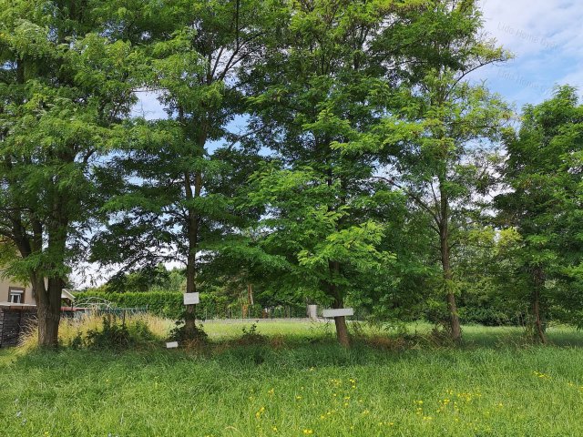 Eladó telek, Győrzámolyon 43.5 M Ft / költözzbe.hu