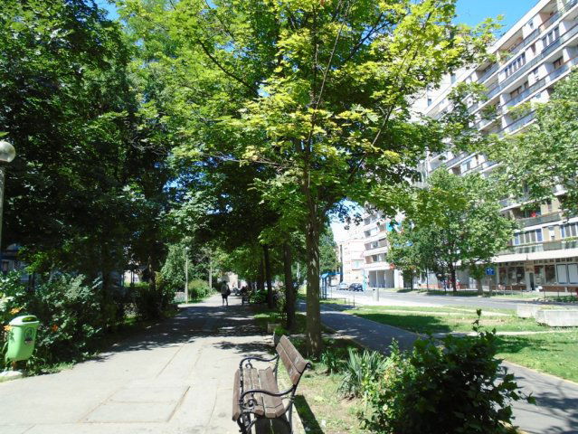 Kiadó panellakás, albérlet, Debrecenben, Bethlen utcában