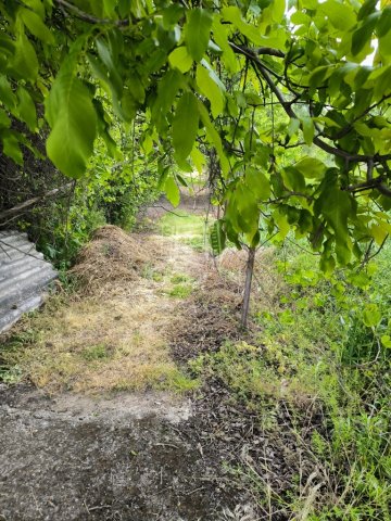 Eladó mezogazdasagi ingatlan, Dunakeszin 3.6 M Ft