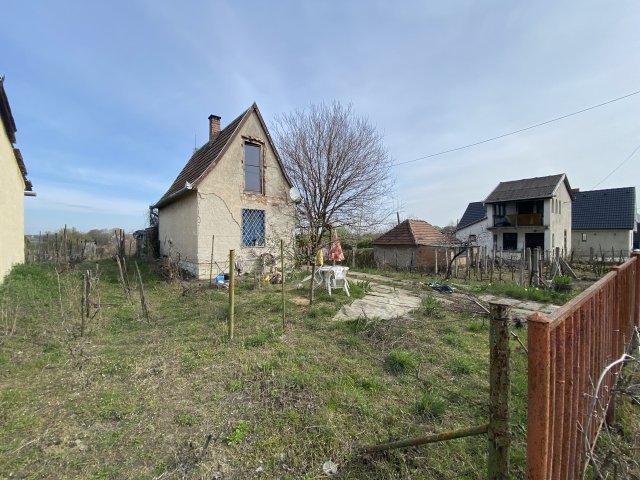 Eladó mezogazdasagi ingatlan, Komáromban 12.9 M Ft