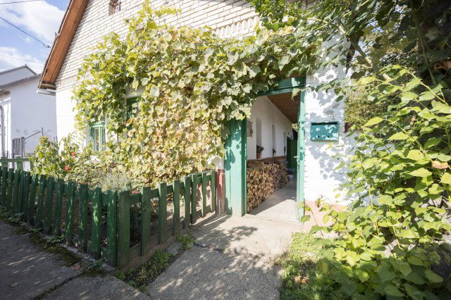 Eladó családi ház, Tolmácson 20.9 M Ft, 1 szobás