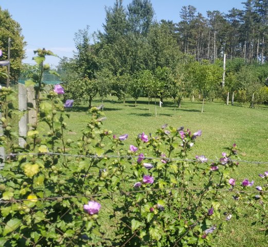 Eladó telek, Debrecenben 99.8 M Ft / költözzbe.hu