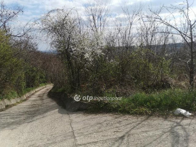 Eladó telek, Szekszárdon 3.3 M Ft / költözzbe.hu