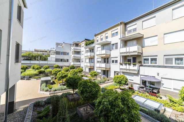 Kiadó téglalakás, albérlet, Kecskeméten 240 E Ft / hó