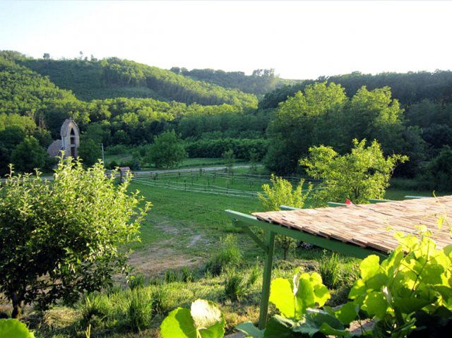 Eladó mezogazdasagi ingatlan, Kehidakustányban 8 M Ft