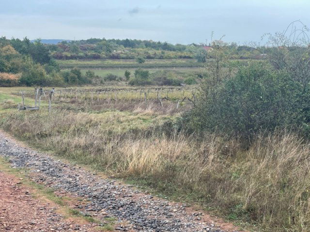 Eladó mezogazdasagi ingatlan, Zánkán 8.6 M Ft
