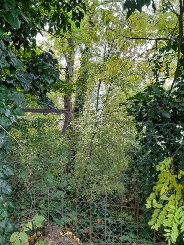 Eladó telek, Gödön 160 M Ft / költözzbe.hu