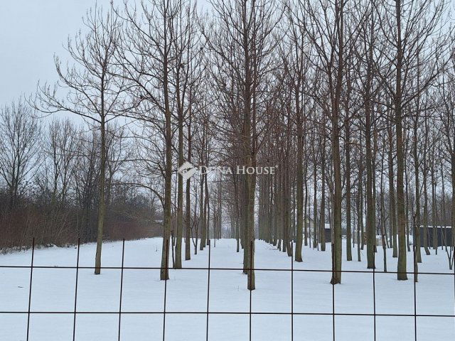 Eladó telek, Bicskén 9.5 M Ft / költözzbe.hu