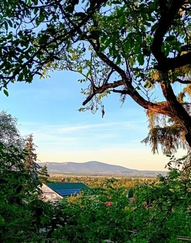 Eladó családi ház, Tahitótfalun 75 M Ft, 2 szobás