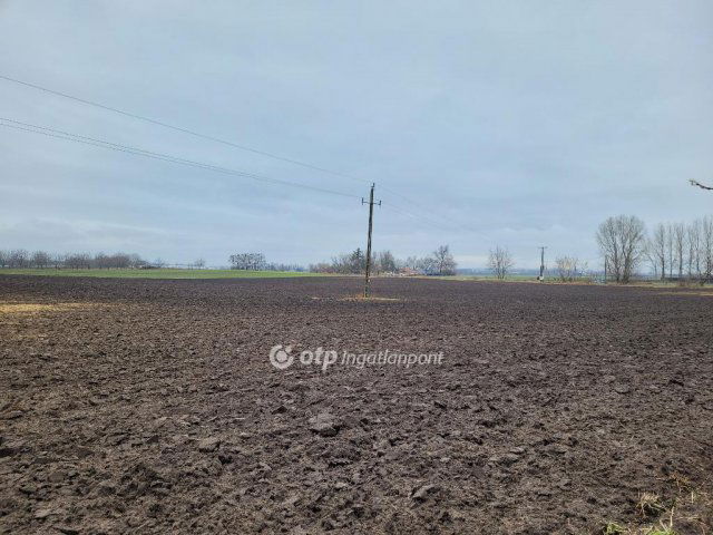 Eladó mezogazdasagi ingatlan, Jászberényben 88 M Ft