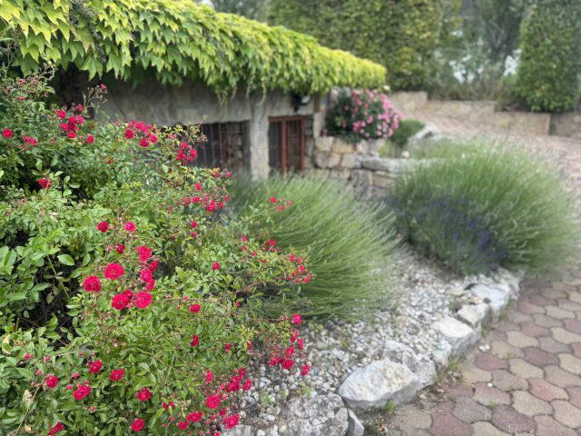 Eladó mezogazdasagi ingatlan, Alsóörsön 119.9 M Ft