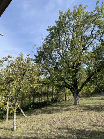 Eladó nyaraló, Pilisszántón 19.9 M Ft, 2 szobás