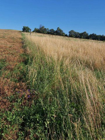 Eladó családi ház, Tótvázsonyban 69 M Ft, 3 szobás