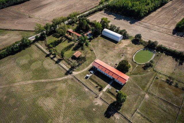 Eladó mezogazdasagi ingatlan, Lajosmizsén 307.5 M Ft