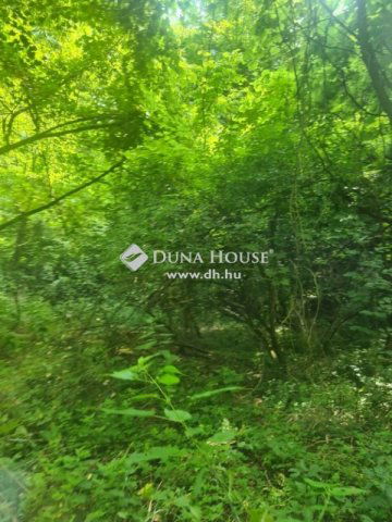 Eladó telek, Regenyén 3.5 M Ft / költözzbe.hu